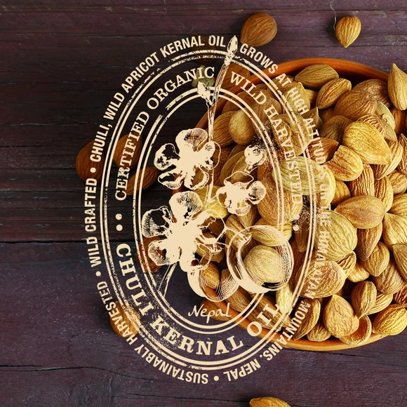 Rare Treasures Wild Summer Apricot Revitalizing Hair Treatment Mist 16 fl oz. - Picture 6 of 6